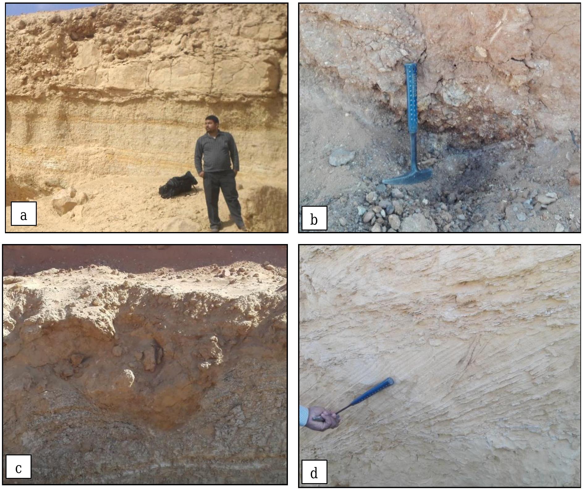 (PDF) BIOSTRATIGRAPHY, MICROFACIES ANALYSIS AND SEQUENCE STRATIGRAPHY ...
