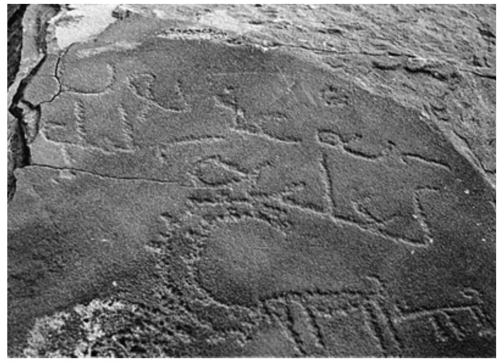 Figure 1 - from « A rock inscription mentionning Thaʿlaba,