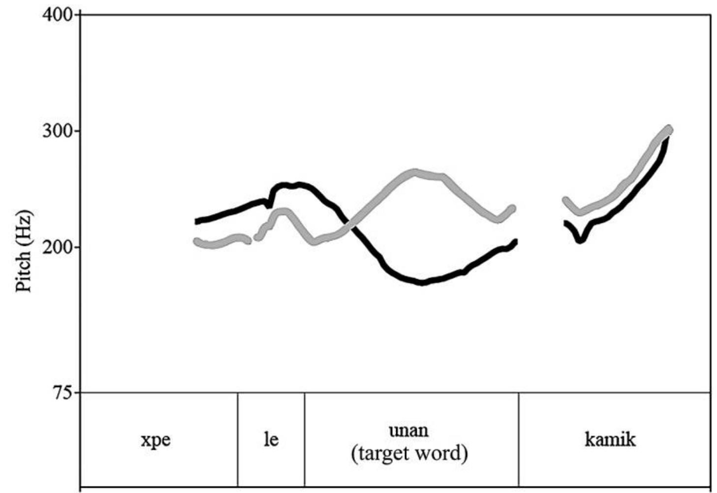 Fic. 6—Time-normalized sample intonational contours of the utterance xpe le unan kamik ‘Her/his mother came today’ under broad focus (black line) and under in situ contrastive focus (gray line) produced by the same speaker, CF2. 