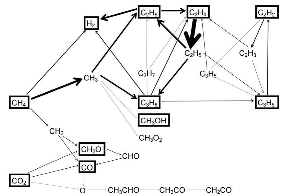 Schematic overview of the dominant reaction pathways for the