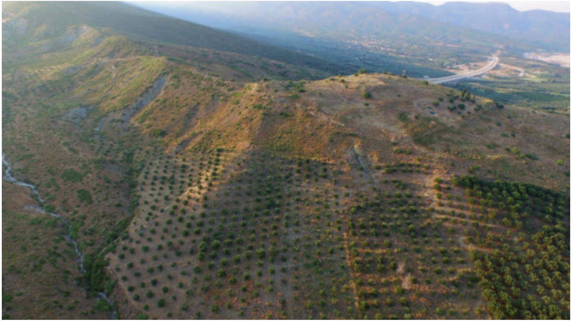 The Hellenistic House on the Lower Acropolis  During the three excavation campaigns, 15 trenches covering an area of 375 m? were opened in Area I in the middle of the plateau. In this area of the plateau the ter- rain slopes gently downwards towards the south at an approximately 15° angle. The excavations in the area have revealed a building complex dating to the Hellenistic peri- od (Fig. 3). When excavations began in 2013, a substantial layer of stone debris covered almost the entire area. The stone debris layer, which at the time was referred to as a “stone blanket”, consisted of a very compact layer of medium-sized stones which in some places was up to 0.70 m deep. Early in the first year’s excavation, it became clear that the formation of the stone debris layer had been caused by the collapse of walls belonging to a Hellenistic  building with at least two construction phases.  During the three excavation campaigns, 15 trenches 
