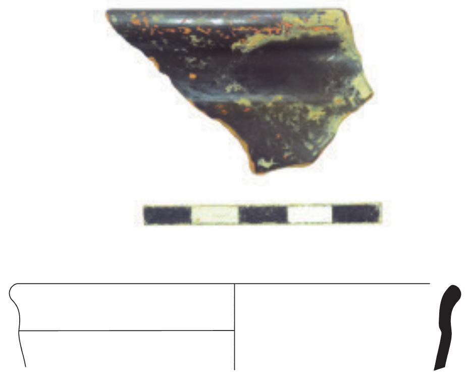 Fig. 20. Fragment of the rim of a cup-skyphos found in the fill of the Lower Acropolis wall. 