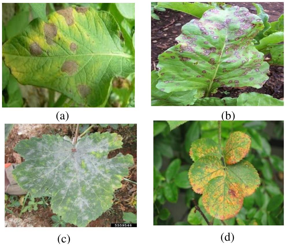 (PDF) Plant Leaf Disease Detection and Classification using Image ...