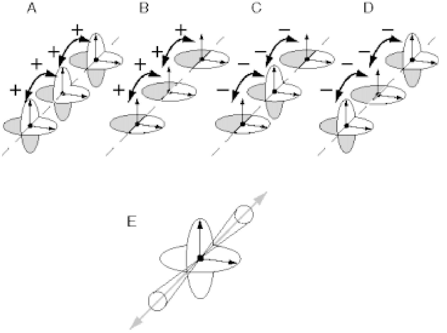 Figure A4. A, B. Edge consistency constraint as an excitatory influence between like-state elements along a corner or edge percept. C, D. Edge inconsistency constraint as an inhibitory influence between unlike-state elements along a corner or edge percept. E. The direction along the edge expressed as the intersection of the orthogonal planes defined by the sine functions on the two orthogonal vec- tors. 