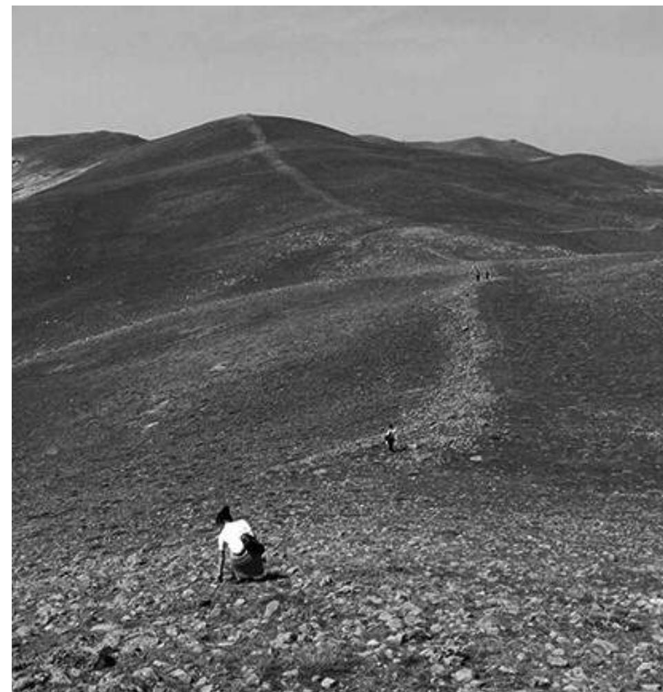 Fig. 13 : The enclosure wall looking eastwards along K6yiistii Sirti to Karaoglan. 