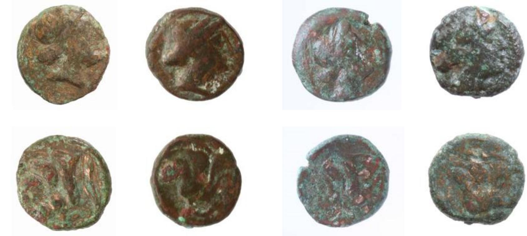 Figure 8: The earliest dated coins are from Rhodes  It was not possible to determine the stratigraphy that can date levels of the coir  found in naos and whose date cou BC27, while the other is dated to t  found in the naos excavations. This situation shows that the filling of the naos did not for over time; the naos floor was filled randomly with finds. The earliest dated coins are fro: Rhodes which date to the 4th century BC® (fig. 8). The latest datable coins are tt Stratonikeia coins dated between 168-88 BC” (fig. 9). One of the written stelai with scriptu  d be identified dates to the second half of the 4th centu he first quarter of the 2nd century BC?8. The fact that tt  finds found in the naos date back to the between 4th and the beginning of the 1st century B suggests that this area had a sacred  building as early as the 4th century BC and that the vow  that came to this building were le  ft in the sanctuary. The latest coins indicate that the na  floor was closed during this period and ground for a new and splendid building we  established in this sacred site. 