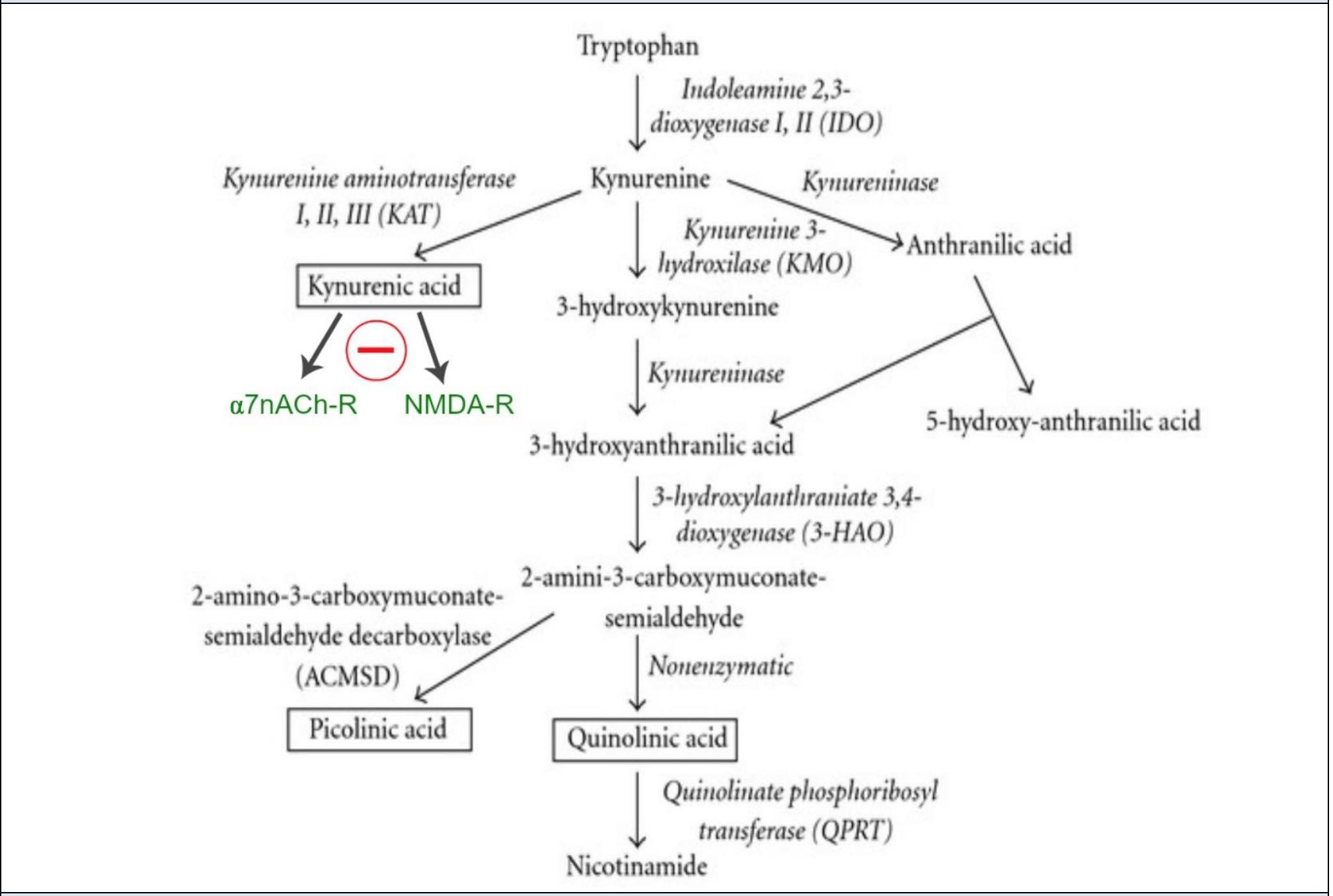 (PDF) Galantamine-memantine combination superior to donepezil-memantine ...