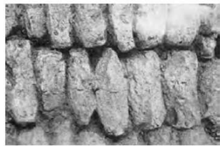 (PDF) The Plano-Convex Bricks in Ancient Mesopotamian Architecture