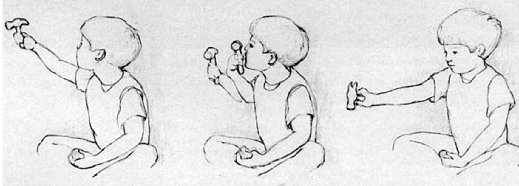 ie ET Ne ie OO  pically described as relatively short lived systems, largely limited to use by isolated deaf individuals to try to communicate with hearing family members. See, for example, Goldin-Meadow (2003). 