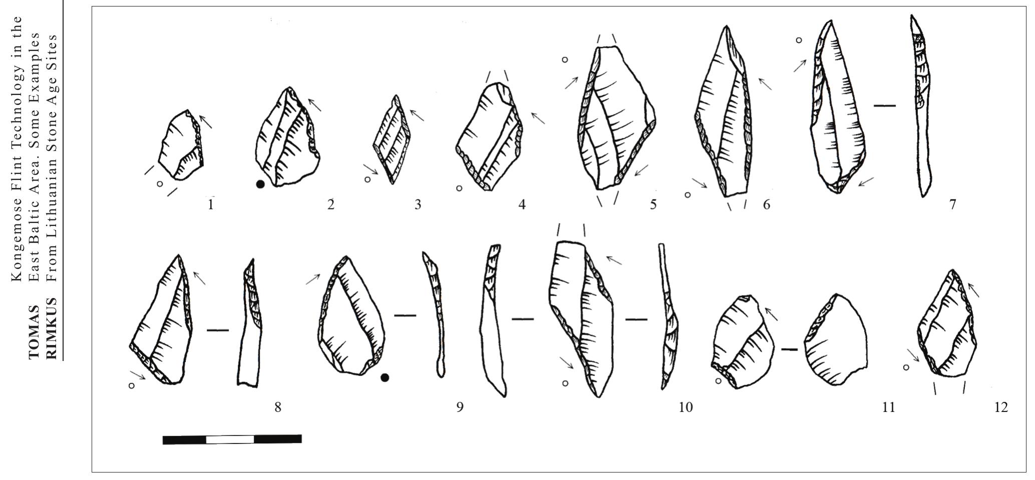 Fig. 2. Rhombus-shaped points from Lithuanian Stone Age sites: 1, 2 Daktariské 5; 3 Dreniai; 4-6 GribaSa 4; 7 Katra 1; 8,9 Kretuonas 1C; 10 Pakretuoné 4; 11, 12 Spiginas grave | (drawing by Tomas Rimkus). 
