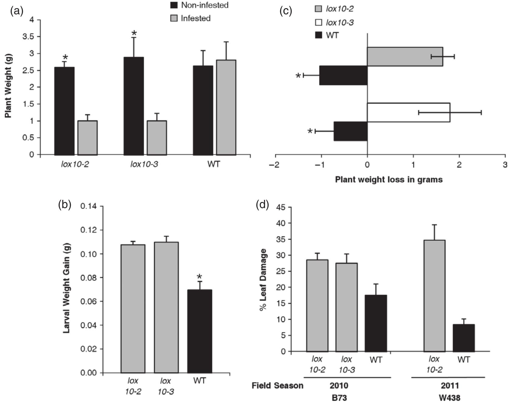 (PDF) The maize lipoxygenase, ZmLOX10, mediates green leaf volatile ...