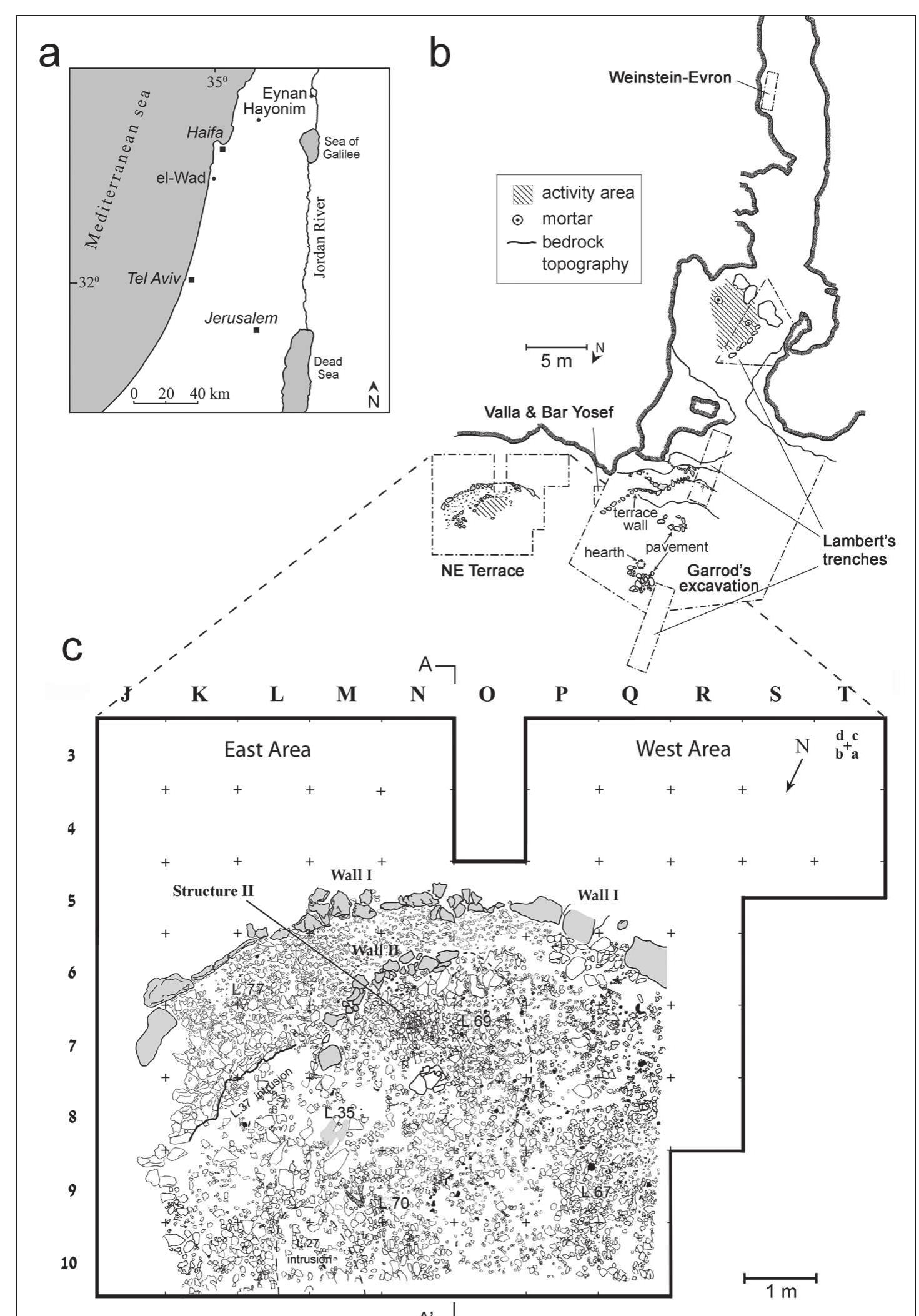 et al. 2016a; Eckmeier et al. 2012; Weinstein-Evron et  (Caracuta et al. 2016a,b; Portillo et al. 2010), the ground  Figure 1. a) Map showing the location of el-Wad and other sites mentioned in text; b) Plan showing earlier and current excavation areas. The LEN architectural phase is indicated; c) Plan of the EN layer in Phase W-7 of the LEN architectural phase with walls, features and a living floor. 
