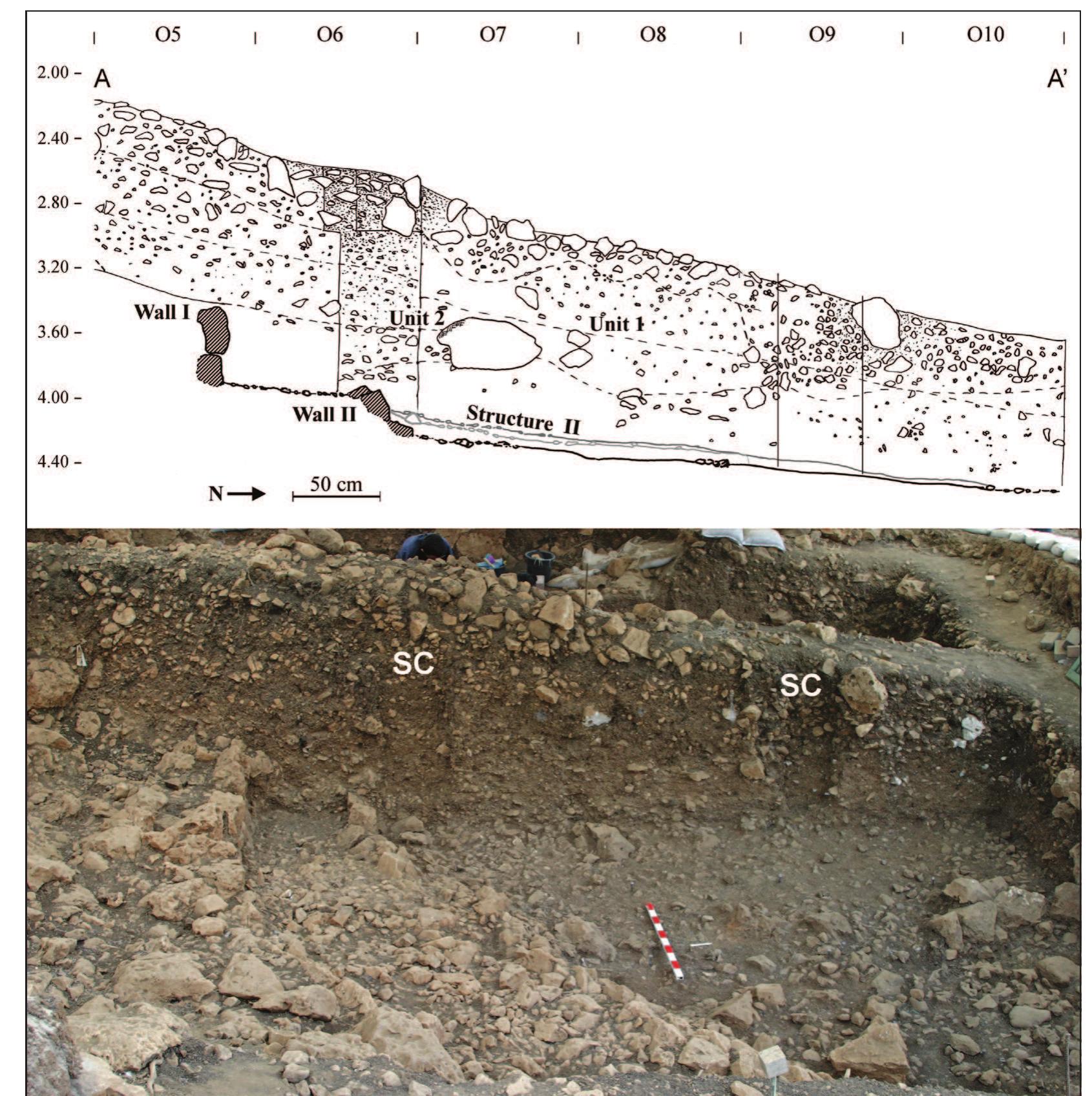 Figure 3. Section along the N-O line showing the eastern face of the section between the West and East areas of excavation and the western part of the East area. The sedimentological columns (SC) cut through the entire Natufian sequence of the NE Terrace, including the superimposed living floors at the southern part of the lowermost attained phase.  The natural terrace bedrock. The bedrock terrace was exposed in two soundings in our excavation, Sq. J10 and  horizons, mostly representing different phases of the  exposed in two soundings in our excavation, Sq. J10 and 