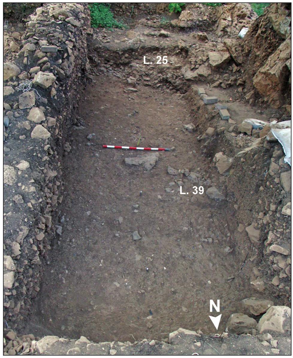 Figure 4. The West Area, a view from the north, before removal of the central section (the N-O line), showing a living level of Phase W-5 with two stone features (Loc. 39 and emerging Loc. 25).  sorted, but they diminish in number with depth. Various 