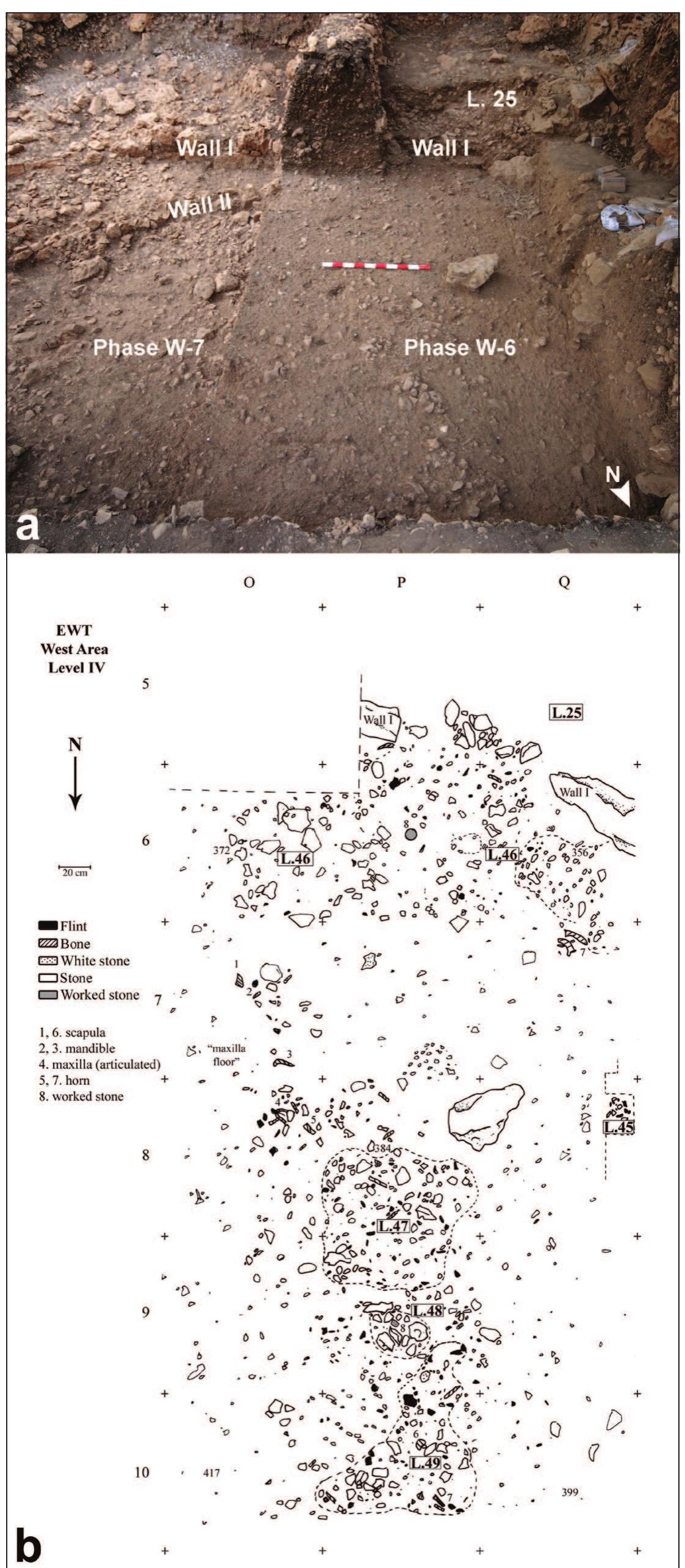 Figure 6. Example of Phase W-6 surface during excavation a) Photograph from the north. Phase W-7 has already beer attained in the East Area (before excavation of the O5 section) b) Plan. The arrow in B indicates the grid north. 