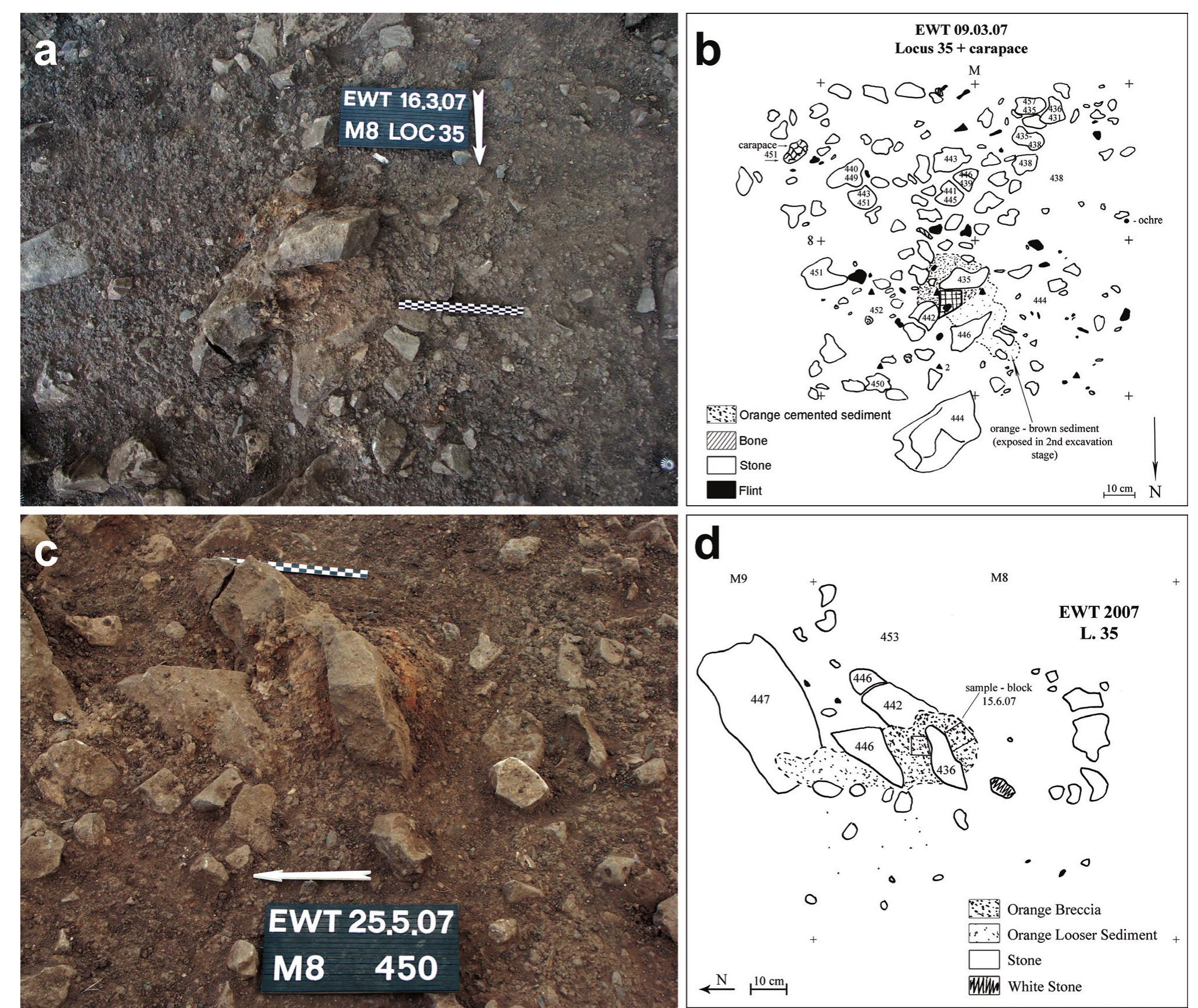 Figure 16. The orange-brown sediment patch of Loc. 35, during excavation: (a-b) Photograph and plan of the initial exposure of the hard orange sediment; (c-d) Photograph and plan of the more advanced exposure of the locus.  grouped into seven categories following Friedman and  The rock clasts from the excavation area were analyzed in terms of size, shape and lithology. An approximately equal amount of mixed deposits was collected in ordet to fill up one bucket (= ca. 10 liters) usually used in archaeological excavations. The total weight of each sample was ~10-11 kg. The mixed sediment was dry- sieved through a 5 mm mesh and weighed (category 2 hereafter). The items remaining on the sieve, which included gravel, flint tools, bone and ceramics larger than ~0.5 cm were handpicked and weighed (category 1). Clast size distribution includes a wide range of sizes arbitrarily  grouped into seven categories following Friedman anc 
