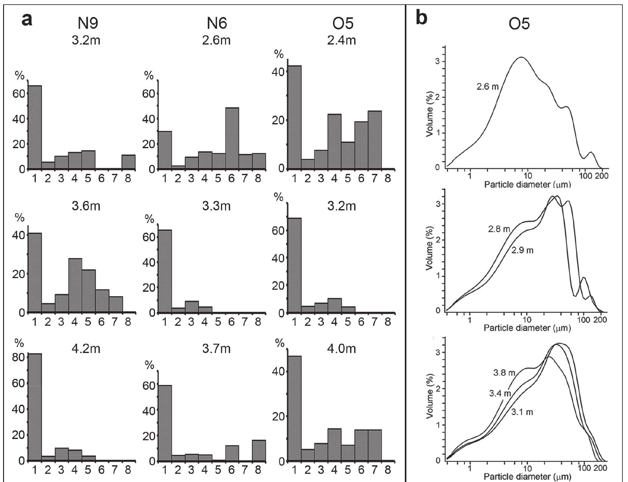 Sanders (1978) and Blott and Pye (2001). Category 3 (0.5—2.5 cm) is attributed to fine gravel, category 4 (2.5—5 cm) to medium gravel, category 5 (5—7.5 cm) to coarse gravel and category 6 (7.5—-10 cm) to very coarse gravel, while clasts larger than 10 cm (10-12.5 cm, 12.5-15 cm; 15—17.5 cm, i.e. categories 7, 8, 9, respectively) are referred to as boulders. Blocks of rockfall more than 20 cm in size were occasionally found during excavation but were not encountered during sampling of the stratigraphic sections in Sq. O5, N6 and N9 (Fig. 3). Each category was weighed, and their weight frequencies, alongside those of fine-earth, were plotted (Fig. 17). Descriptive statistical software GRADISTAT (Blott and Pye 2001) was applied to calculate clast size distribution parameters such as  mean, mode, standard deviation (sorting) and skewness  difference between the two measurements, susceptibility  mean, mode, standard deviation (sorting) and skewness  Figure 17. Particle sizes of Natufian deposits at EWT. (a) Coarse (stony) fraction in Sq. N9, N6 and O5; on X-axis categories of gravel size: 1) artifacts; 2) fine earth less than 0.5 cm; 3) fine gravel 0.5—2.5 cm; 4) medium gravel 2.5—5 cm; 5) coarse gravel 5—7.5 cm; 6) very coarse gravel 7.5—10 cm; boulders: 7) 10—12.5 cm; 8) 12.5—15 cm, 9) 15—17.5 cm; see details in text and Table 1; (b) fine fraction distribution by laser particle size analyzer in Sq. O5 at different depths.  Fine-grained materials were studied using a combination of methods. Samples of fine earth material (<2 mm) were collected at 5—10 cm intervals from the three main sections in Sq. O5, N6 and N9, and some additional sections, at localities immediately adjacent to large gravel samples. The following analyses were carried out. Magnetic susceptibility (MS) measurements were done by Bartington M2 magnetic susceptibility meter (e.g. Evans and Heller 2003), including low-field MS measurements at two different frequencies (0.47 kHz and 4.7 kHz). The difference between the two measurements, susceptibility  to calculate clast size distribution parameters such as 