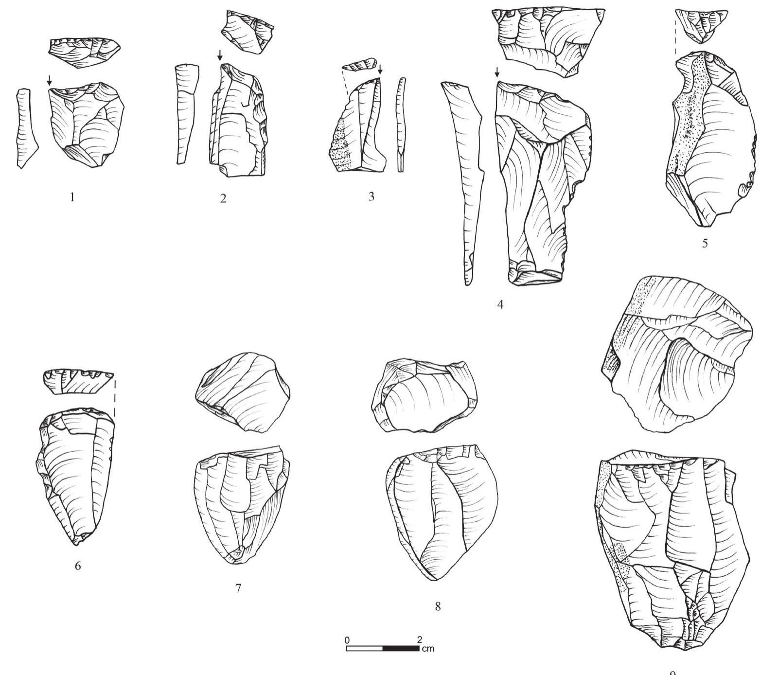 Figure 25. Tools and cores: 1—4) burins on truncation; 5—6) end scrapers; 7—9) cores. 
