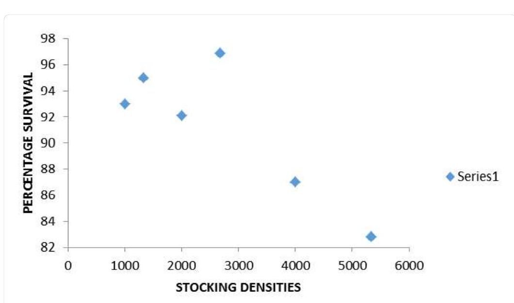 (PDF) The Effects of Stocking Density on the Growth and Survival of ...