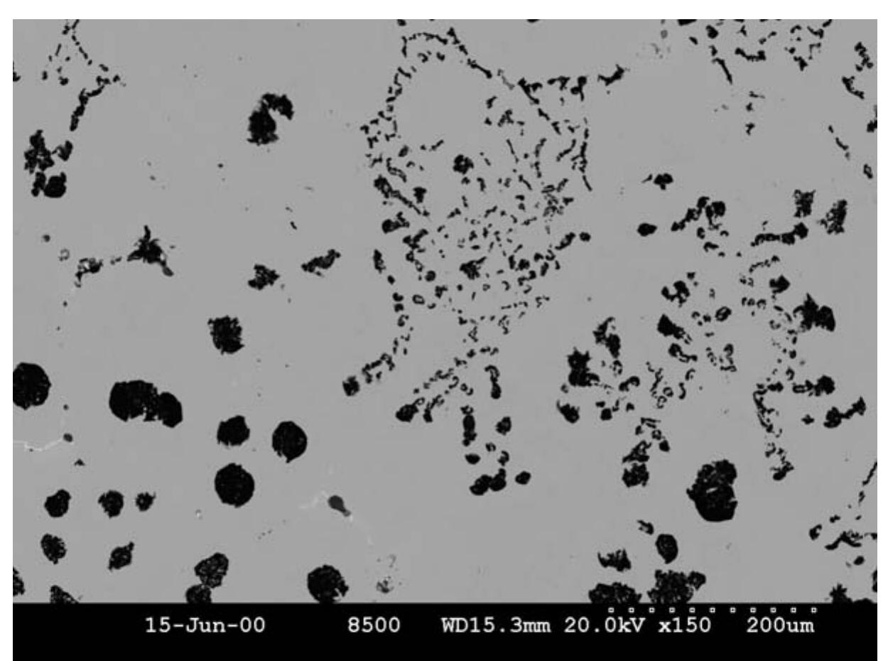 Rare Graphite Sample with chunky graphite present due to excess