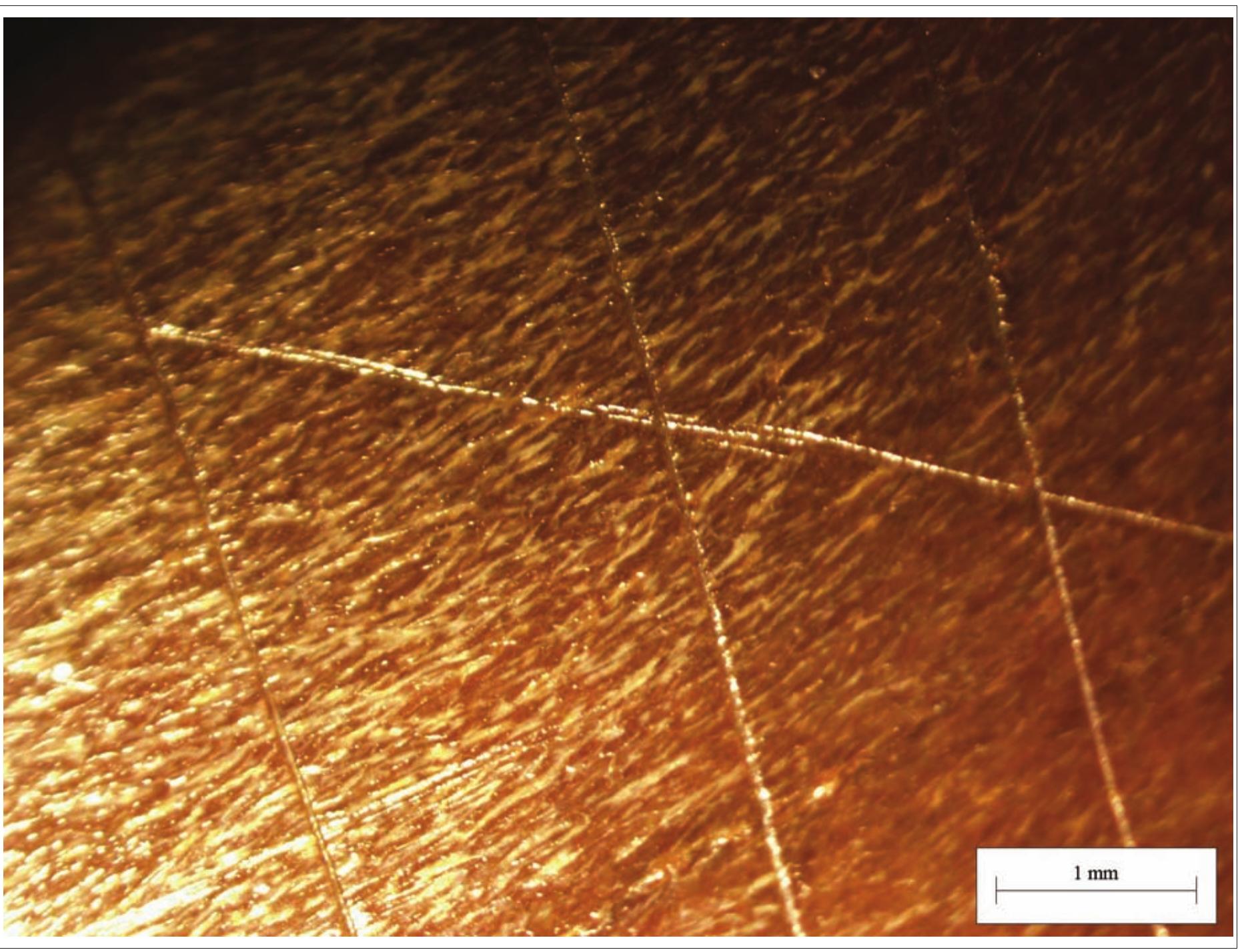 Fig. 3. Thin ornamental scratches. The staff from the Sventoji 3 site. Antler (photograph by Gvidas Slah). 