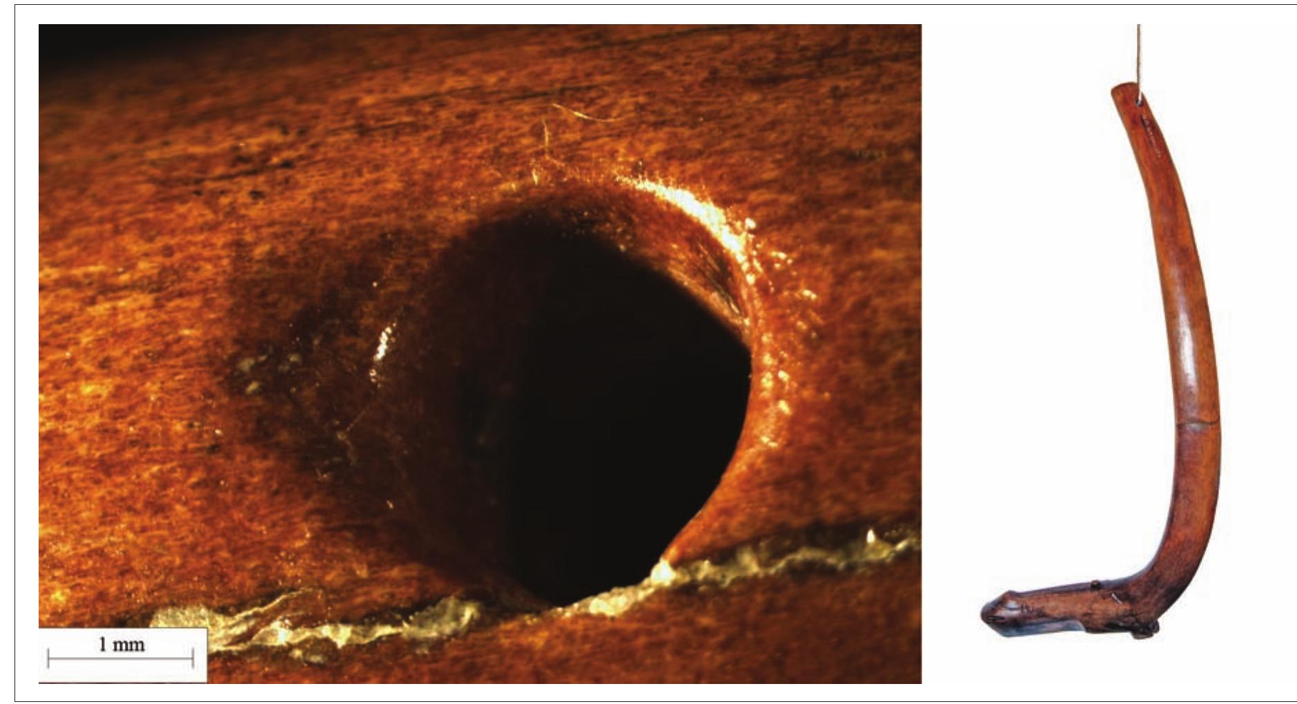 Fig. 8. The hole at the bottom of the staff from the Sventoji 3 site and the use-wear analysis indicate the position the staff was carried in (photograph by Gvidas Slah and Marius IrSénas).. 