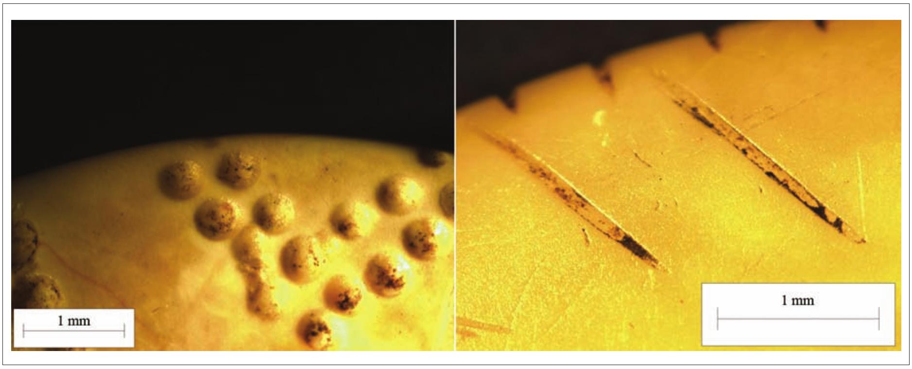 Fig. 12. Traces of resin in the decoration of amber artefacts found at the Daktari8kés 5 site (photograph by Gvidas Slah). 