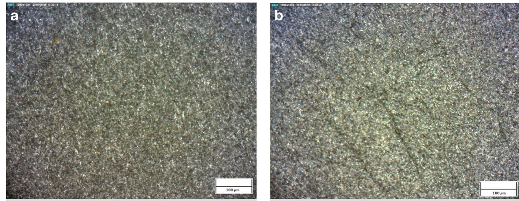 Extrudates Photo Ruler Metallographic photos of extrudates made of samples 4 (a)