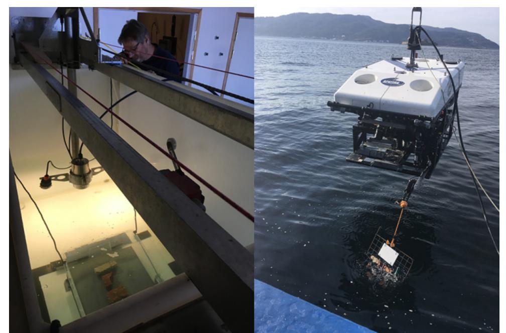 Subfighter Rov Figure 3 - from Underwater Hyperspectral Imaging, a new tool