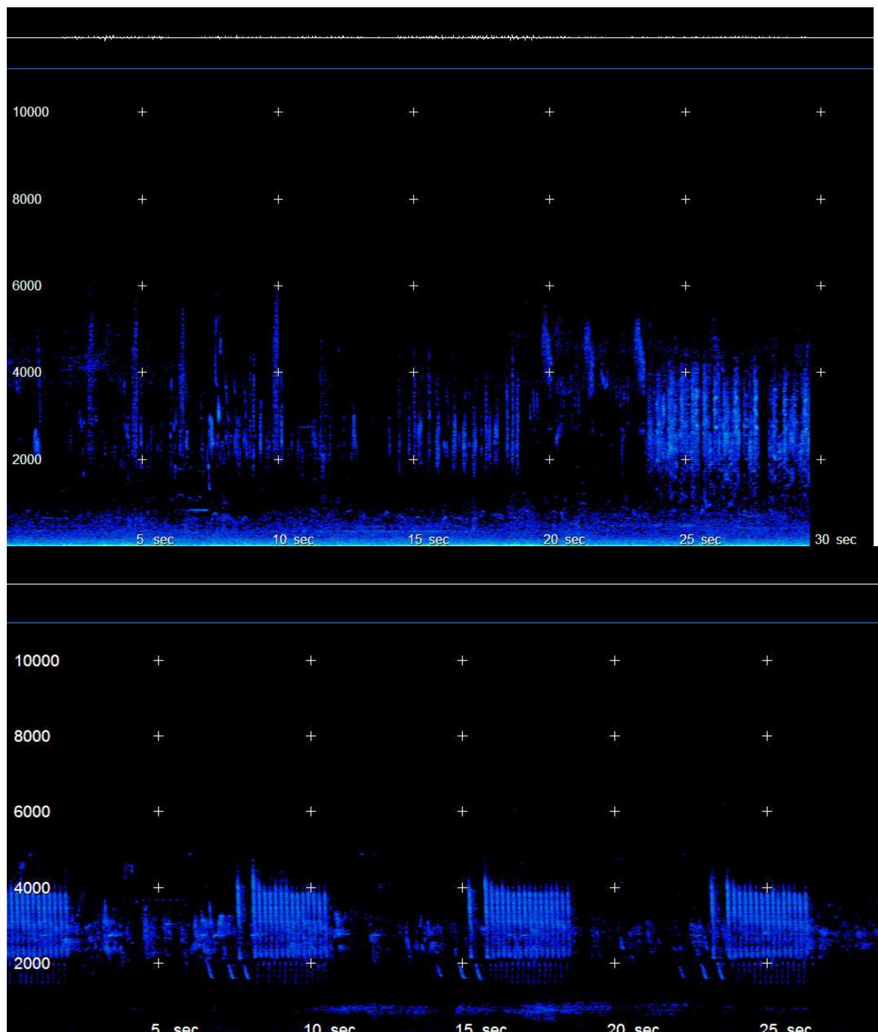 4. sound spectra of selected acoustic signals from data