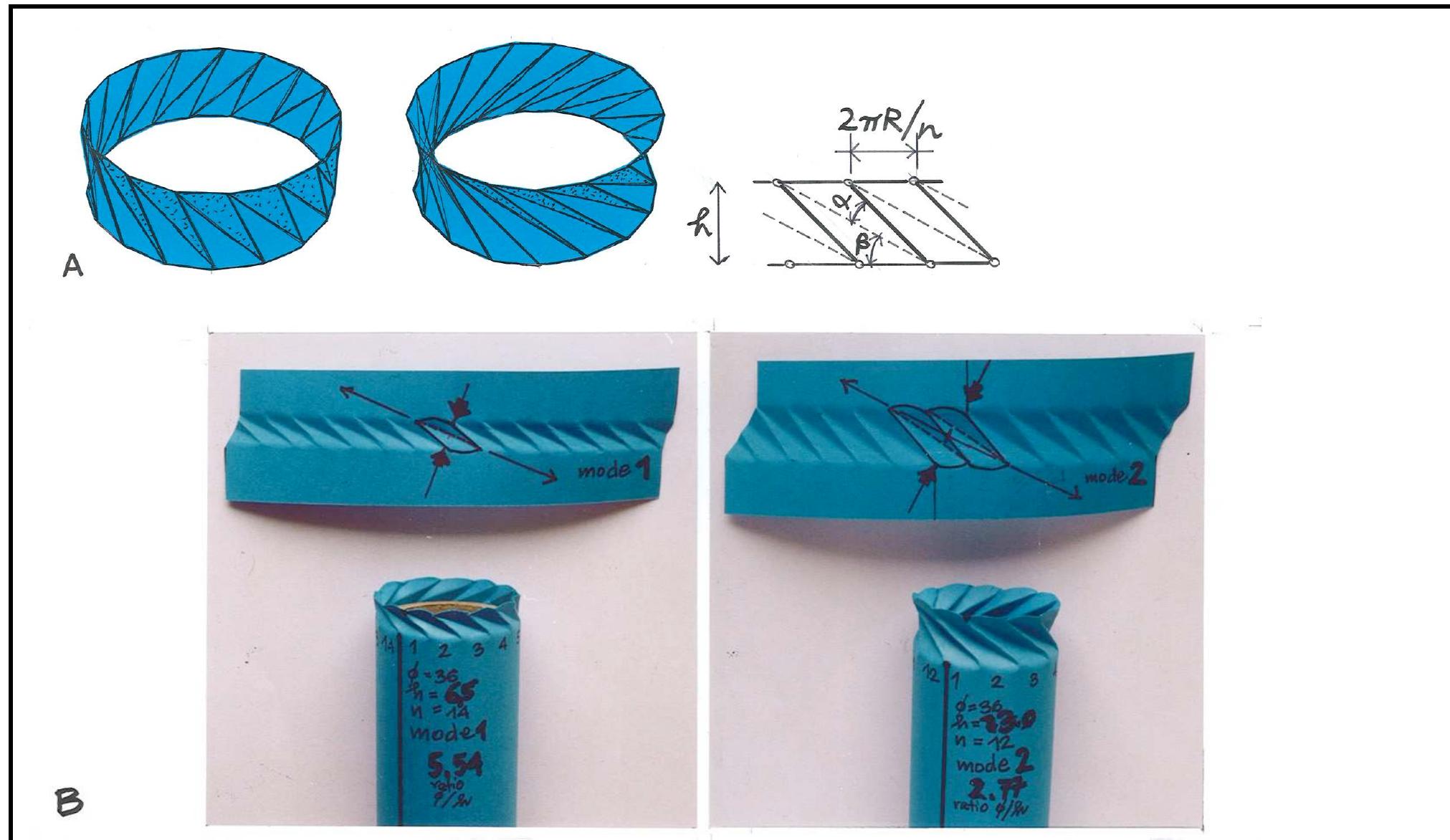 (PDF) Natural twist buckling in shells: from the hawkmoth's bellows to ...