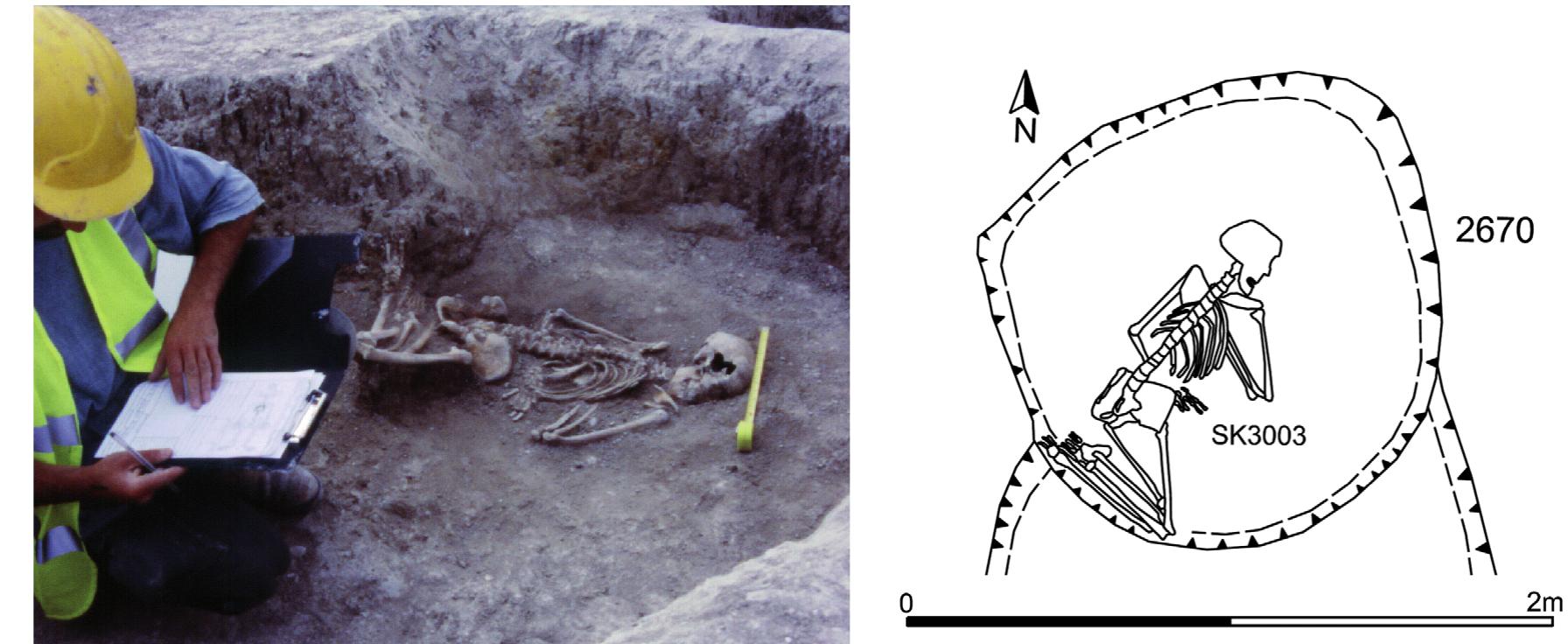 Fig. 3 - Middle Iron Age burial in storage pit, Harston, Cambridgeshire. Burial SK 3003, storage pit F2670. Female aged 17-23 years, prone and facing east, with all limbs flexed. © J. Last; Drawings K. Henry/C. Davies/C. George. 
