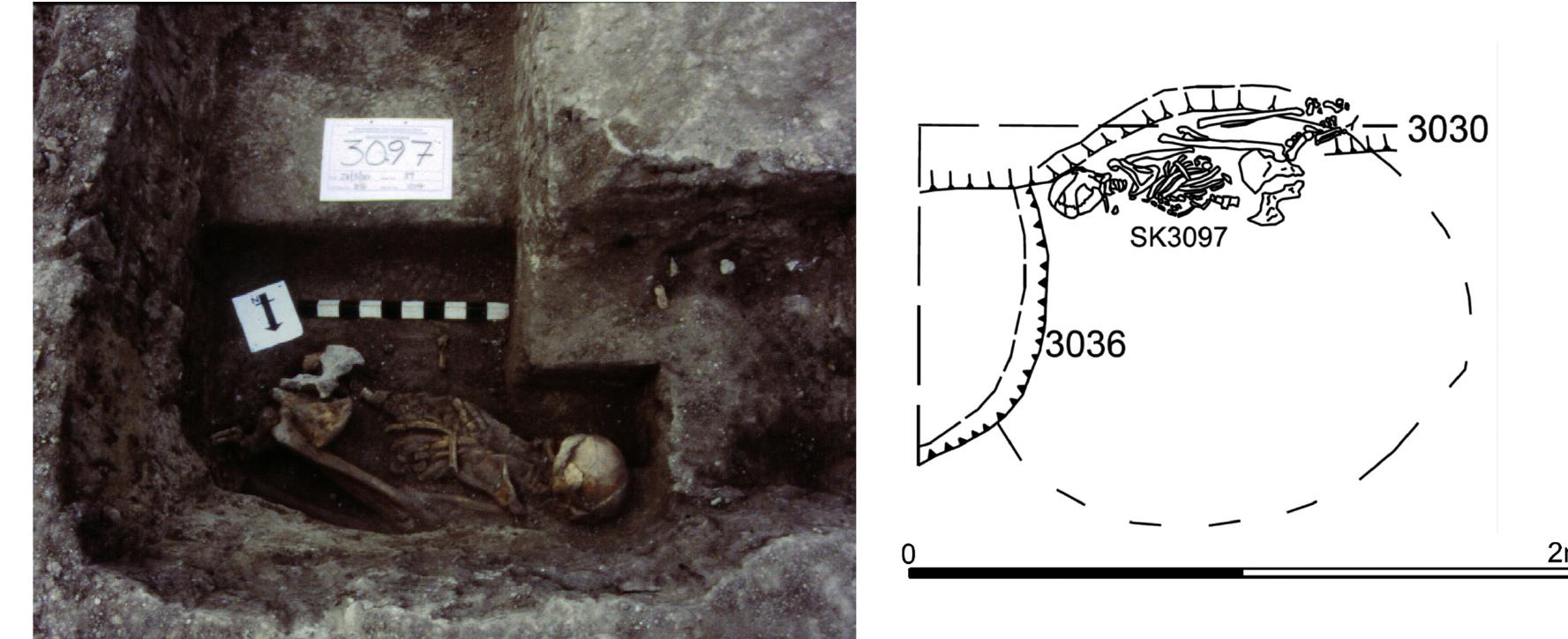 Fig. 5 - Middle Iron Age burial, Harston, Cambridgeshire. Body bundle SK 3097, pit F3052. Female aged 40-50 years. © J. Last; Drawings K. Henry/C. Davies/C. George. 