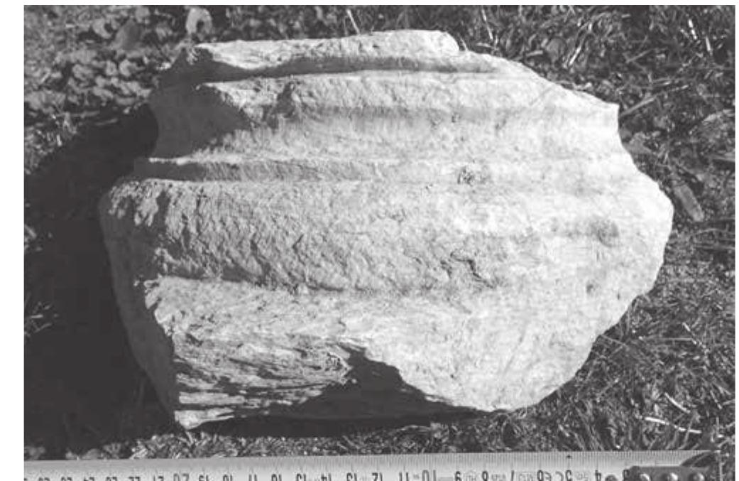 Fig. 16: Marble base of Ionian type, OH_ID_2059 (photo by P. TuSlova). 
