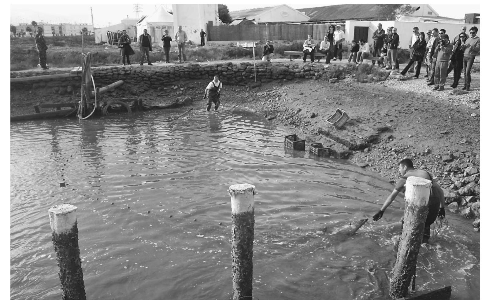 Figure 2. Participants observing fishing techniques at the Salina San Vicente.  shop, José Juan Diaz Rodriguez and José Lagéstena Gutiérrez, from the Archaeolo- gy Area of the University of Cadiz, whom we wish to thank warmly for their effort and dedication. The financial support and sponsorship of the Ministry of Educa- tion and Science, the Regional Government of Andalusia (through the “Conse- jeria de Innovacién, Ciencia y Empresa”), the HMAP (History of Marine Animal Populations) Project and the Pouroulis Foundation, along with the two organising universities, were instrumental for the successful completion of the workshop. 