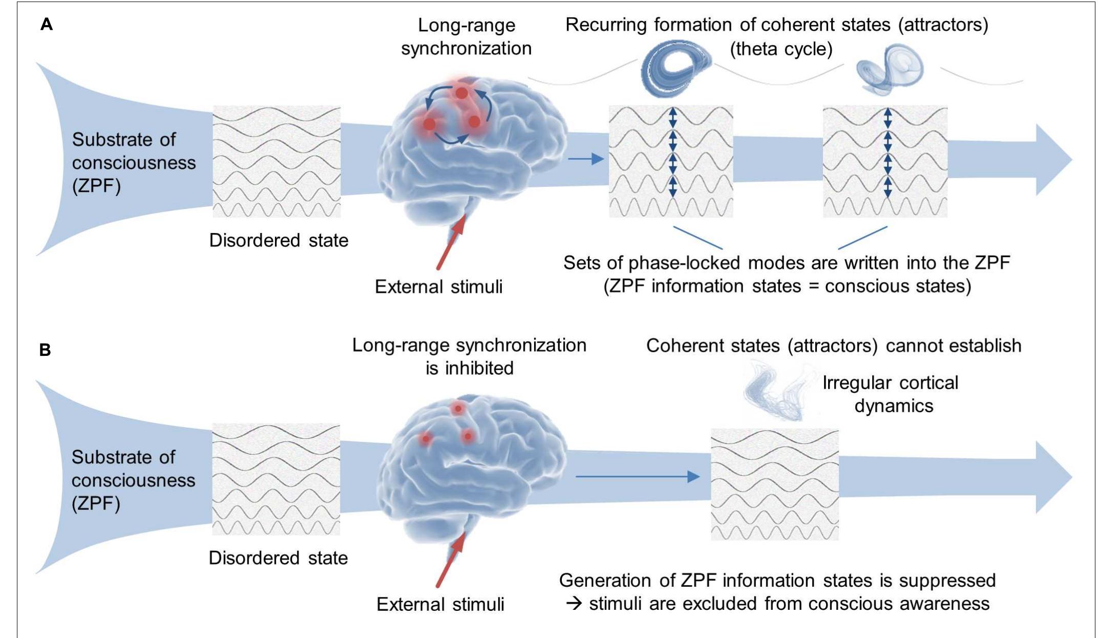 (PDF) The Role of the Brain in Conscious Processes: A New Way of ...