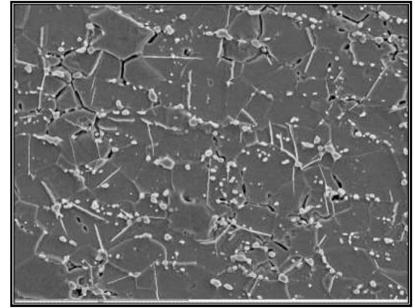 Sem image of the steel microstructure of the ring.