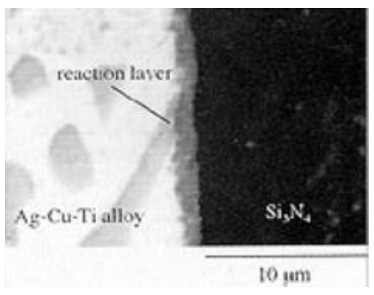 Scanning electron micrograph of the reaction layer between