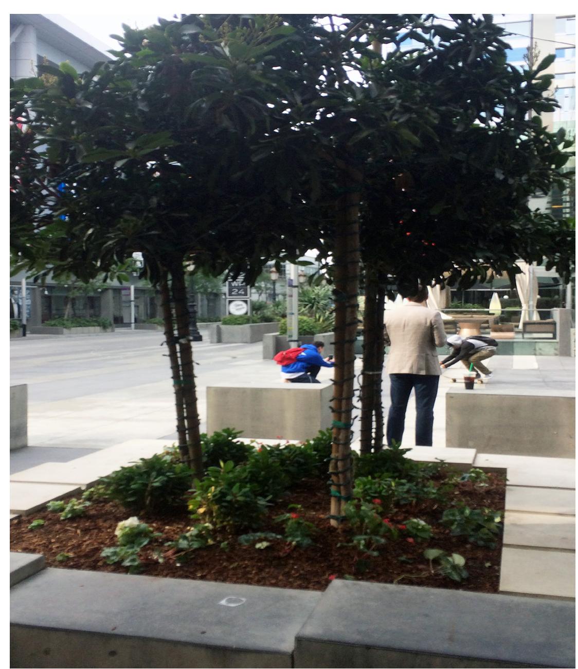 Man stops to watch skateboarders perform. Photo by Chris Gia- marino 