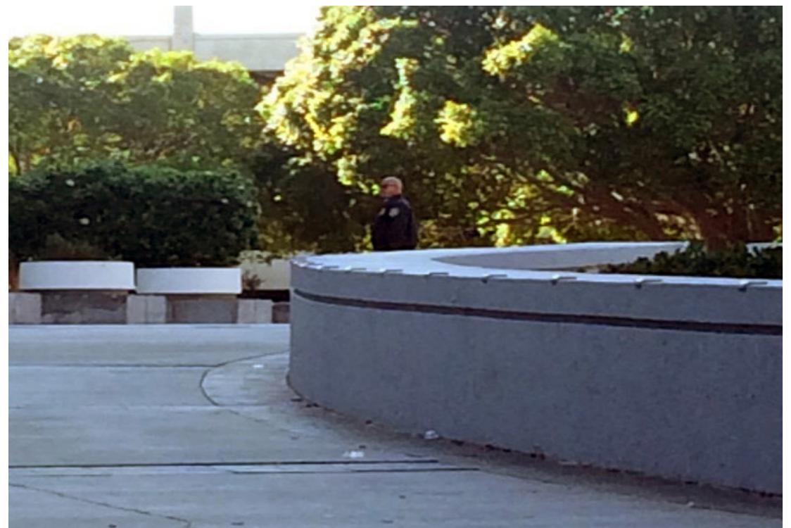 Words skaters associated with planned space. Illustration by Chris Giamarino 