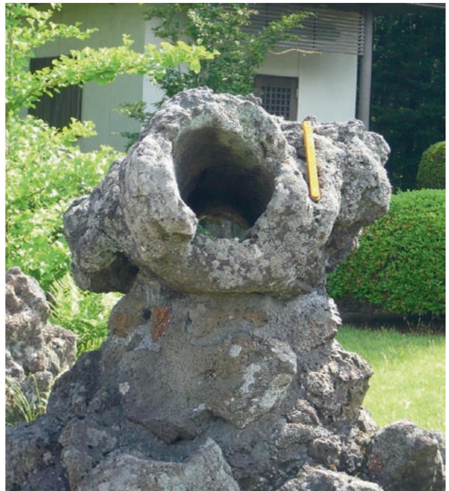 Drainage Reorganization and Intraspecific Genetic Diversity of Riverine  Fish in the Ligurian Alps and Northern Apennines - Vance - 2025 - Journal  of Geophysical Research: Earth Surface - Wiley Online Library, image size:919x1005