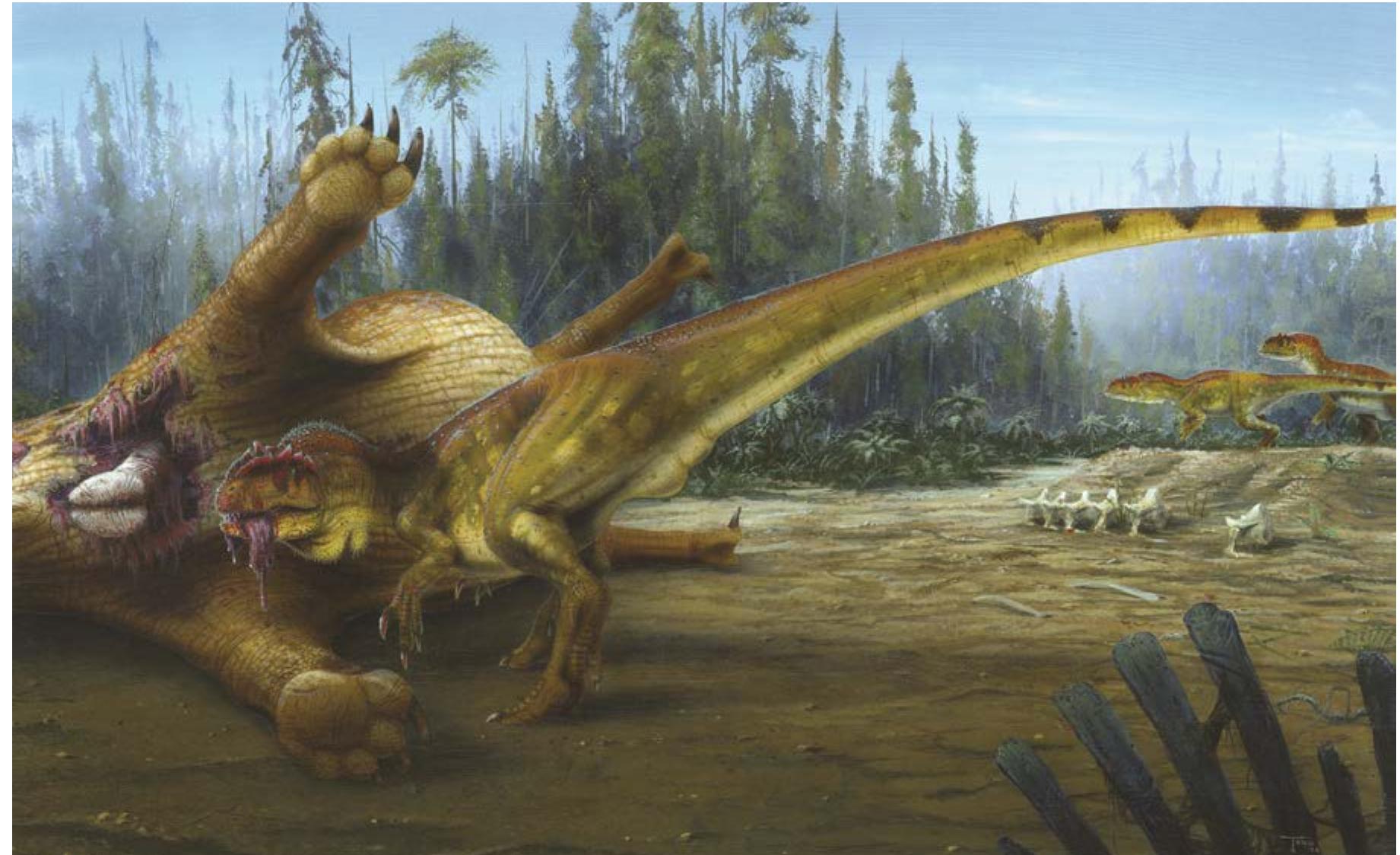 (PDF) PALEONTOLOGY, TAPHONOMY, AND SEDIMENTOLOGY OF THE MYGATT-MOORE ...