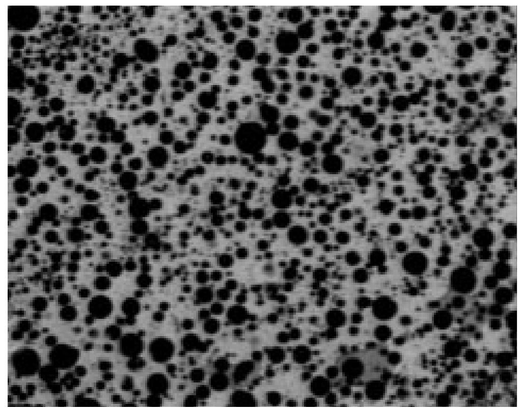Modified Bitumen Matrix Microstructure of a modified binder with bitumen matrix.