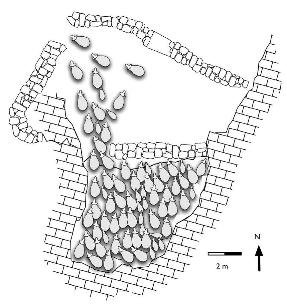 Fig. 5. Mala triglavca as a container of sheep bod- ies. Up to 60 sheep can fit under the cave roof: 