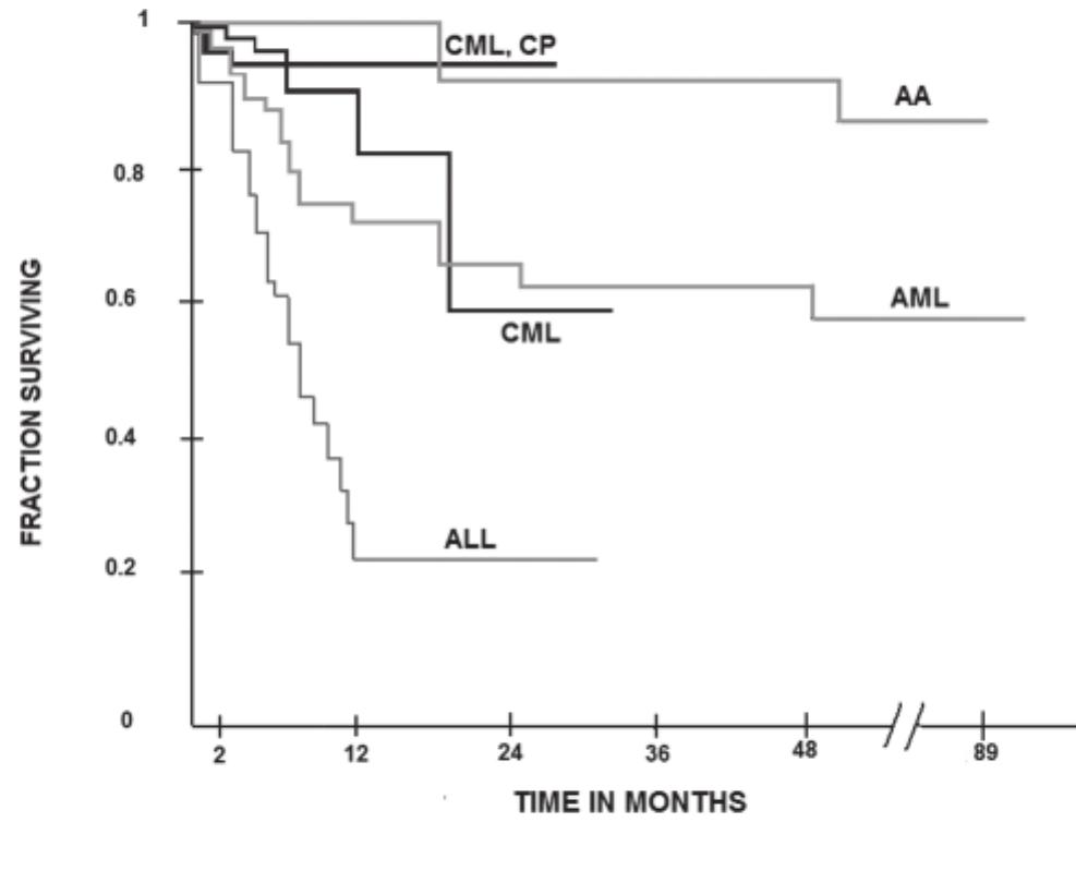 Switch イースVIII -Lacrimosa of DANA- Tumor Abnormality-Oriented Nanomedicine Design | Chemical