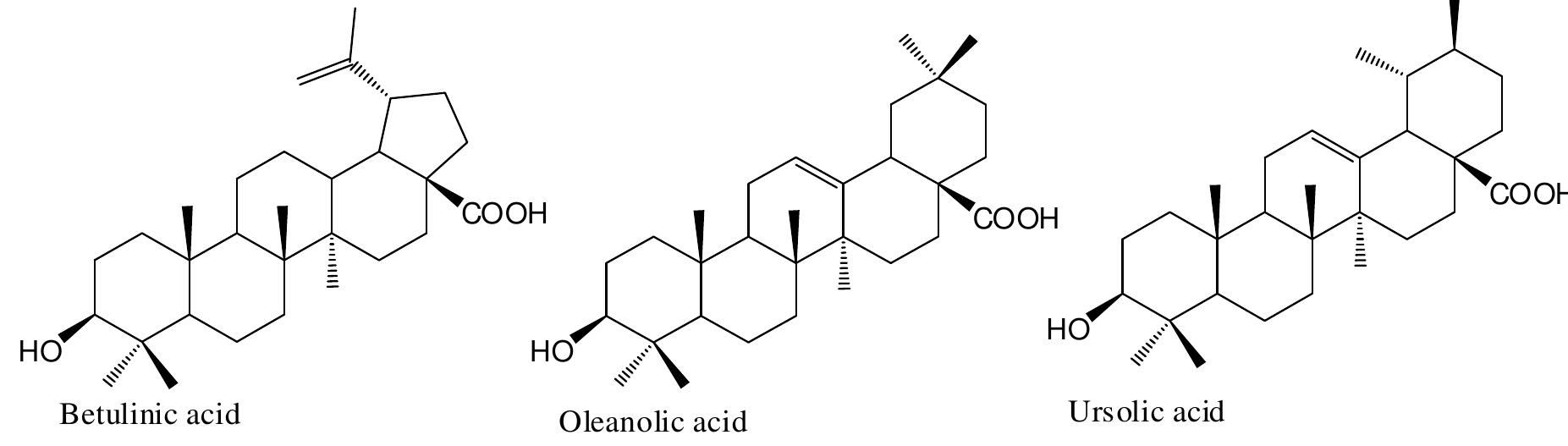 Chemical structures of isolated pentacyclic triterpenes from