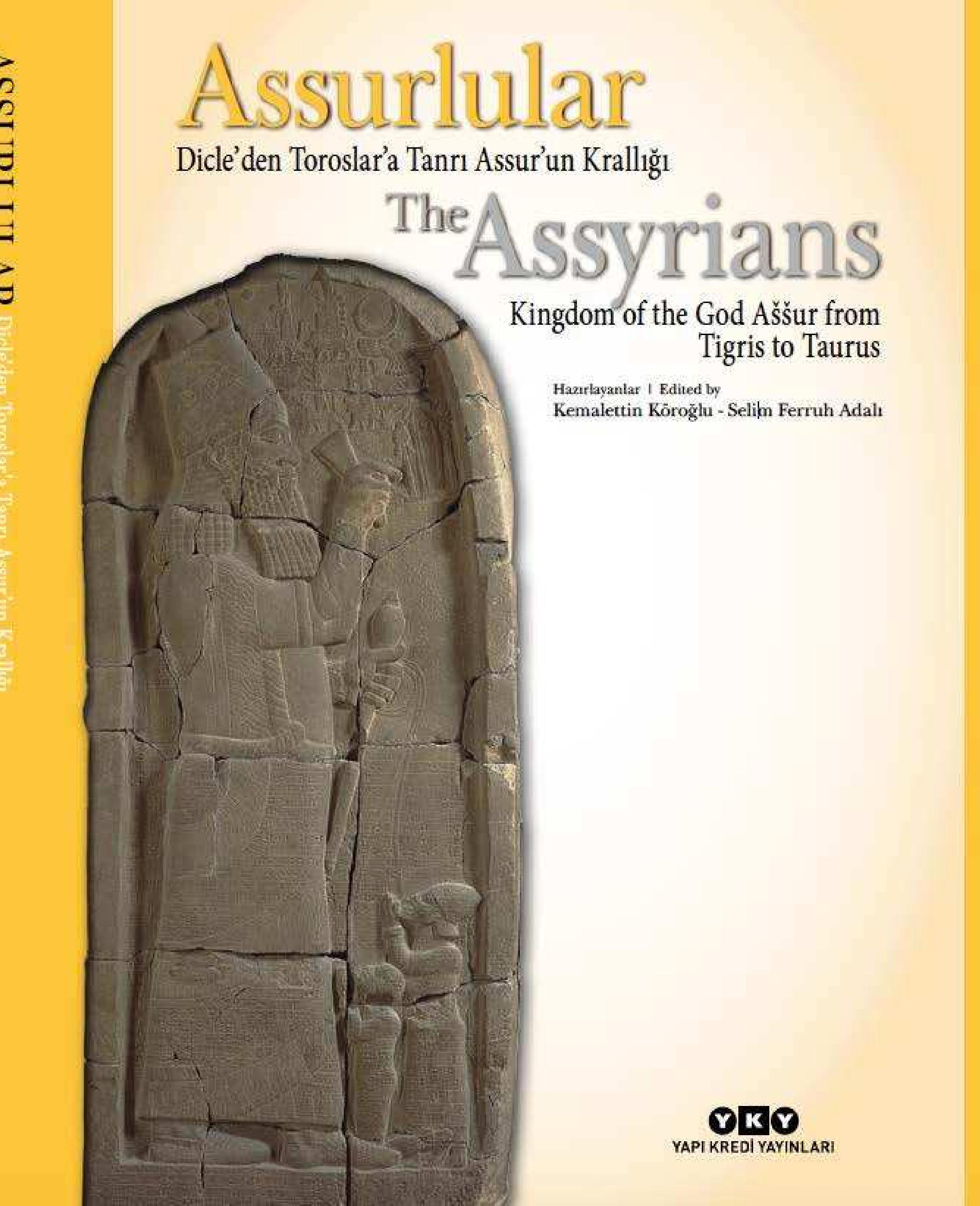 Yuzdagi mushuk video