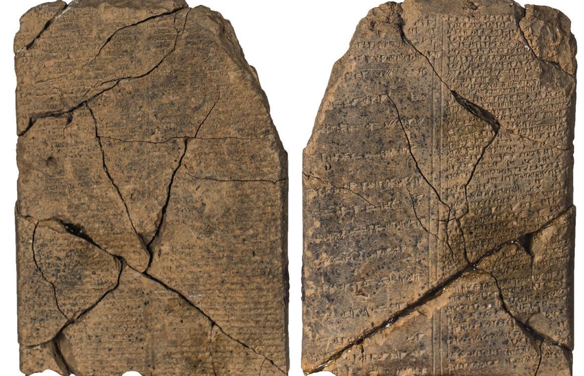 Sariq Samanta Sent va uning eng yaqin dosti erkak itga xizmat qiladi