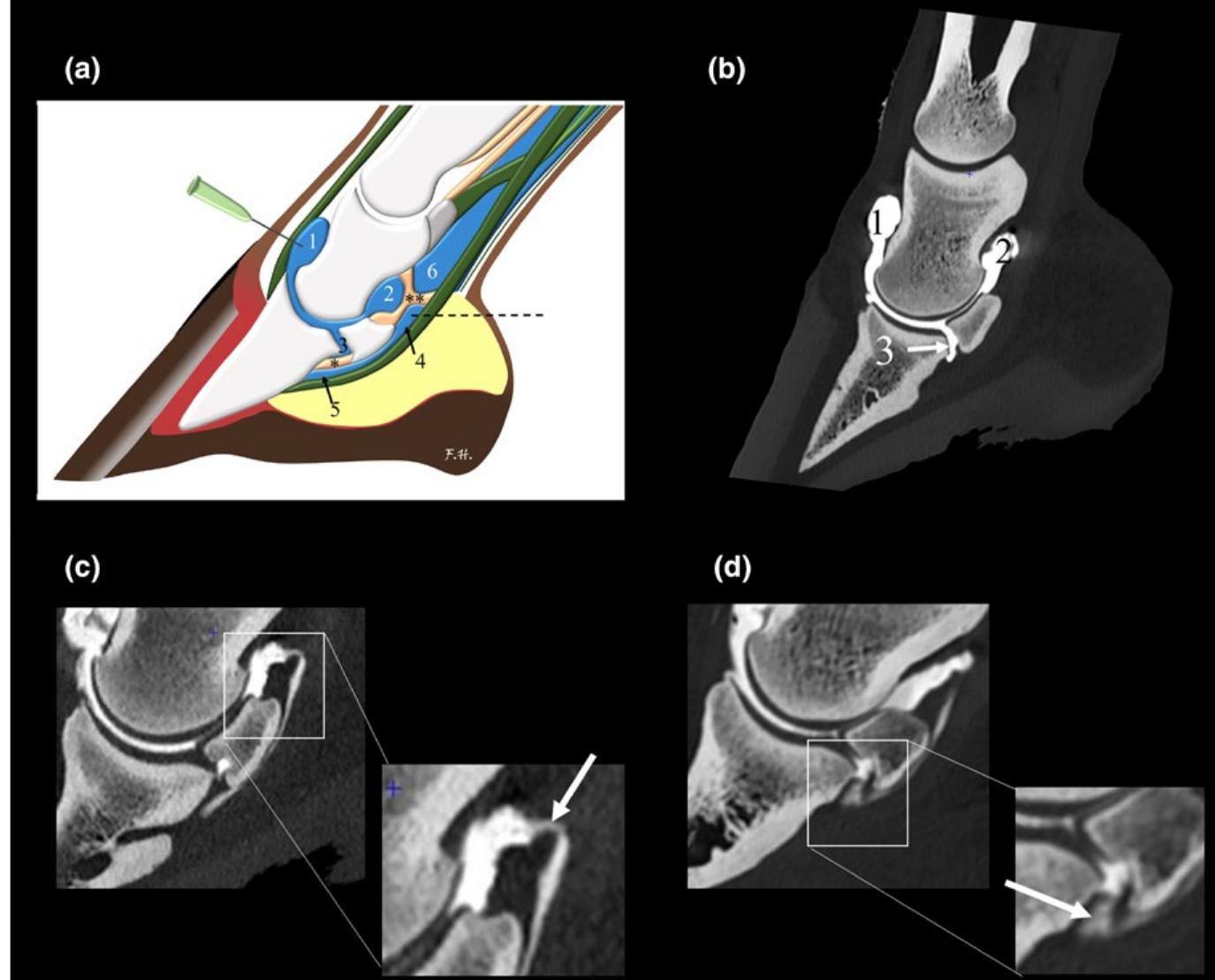 Figure 1 - from HF 2019 - Communication DIPJ NB CTA final