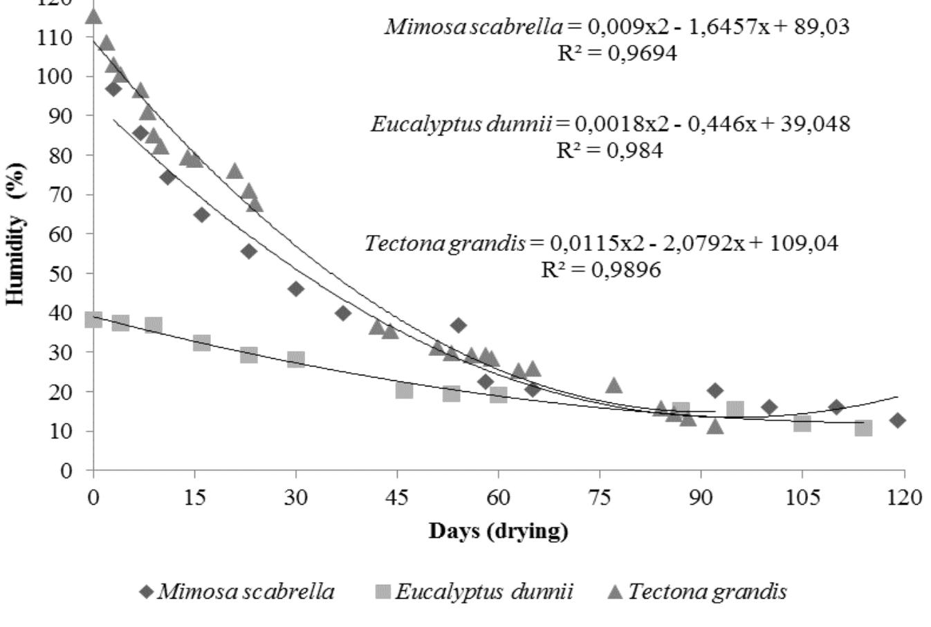 (PDF) -Drying of Wood from Mimosa scabrella, Eucalyptus dunnii and ...